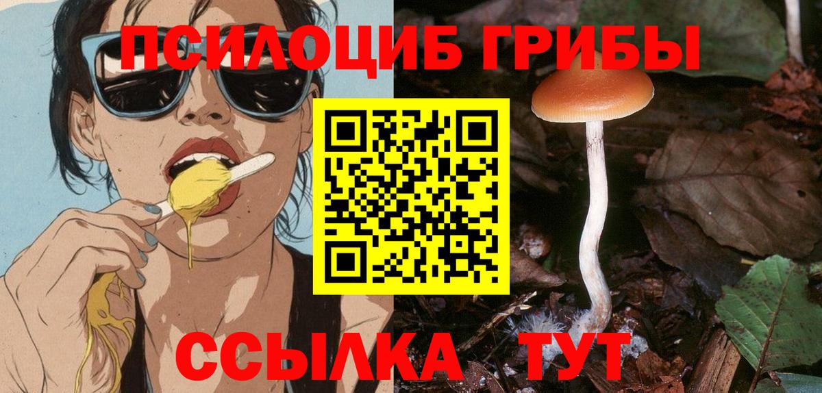 Галлюциногенные грибы мицелий  Вход с VPN  Комсомольск-на-Амуре  Галлюциногенные грибы MAGIC MUSHROOMS 